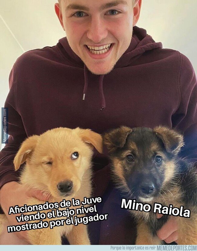 1096413 - Estos perros muestran a la perfección la actual situación de De Ligt en la Juve