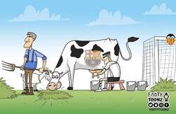 Enlace a Posesión infernal en Mestalla