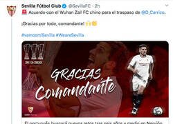 Enlace a Carriço, el superviviente