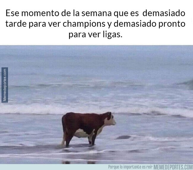 1098935 - Ese momento de la semana.
