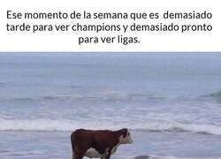 Enlace a Ese momento de la semana.