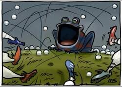 Enlace a No hubo manera de meterla en el feudo granota, por @yesnocse