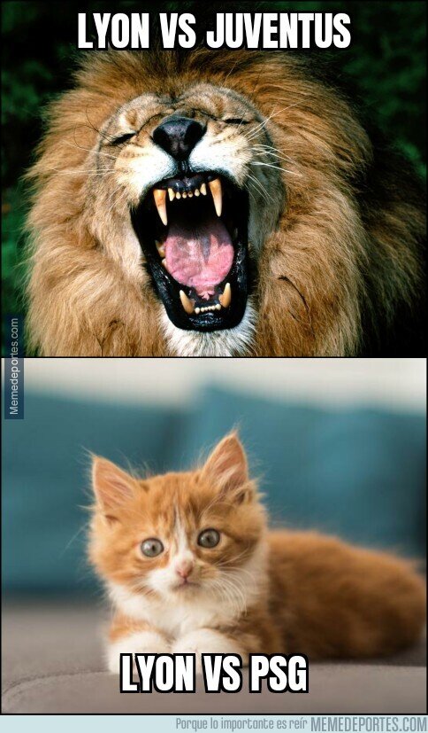 1099938 - Al Lyon no nunca le va nada bien con el psg