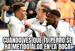 Enlace a ¡Eh, chucho! ¿Qué te has tragado?