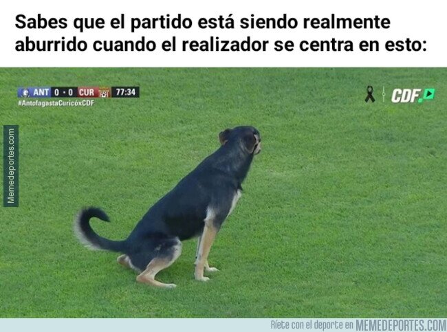 1100442 - Lo más interesante sobre el terreno de juego