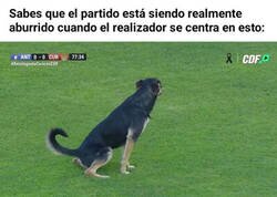 Enlace a Lo más interesante sobre el terreno de juego