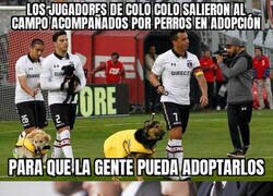 Enlace a Gran gesto de los jugadores de Colo Colo
