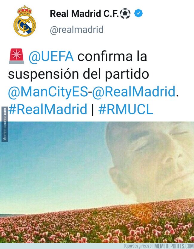 1100711 - La flor continua