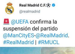 Enlace a La flor continua