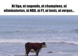 Enlace a ¿Ahora qué hacemos? Tengo miedo.