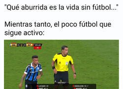 Enlace a Allí no se aburren de momento