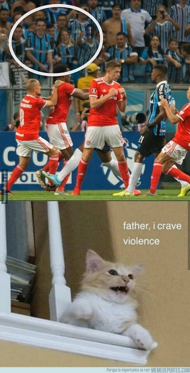 1100797 - El mayor espectáculo de la tierra