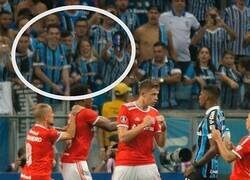 Enlace a El mayor espectáculo de la tierra