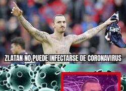 Enlace a Zlatan es inmune