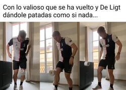 Enlace a ¿Cómo se atreve a tratar un rollo de papel de ese modo?