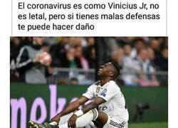 Enlace a Separados al nacer