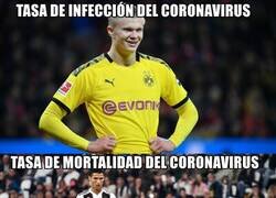 Enlace a Es cierto, mata poco. Pero igual quédate en casa, zopenco.