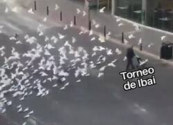 Enlace a Algo a lo que agarrarnos