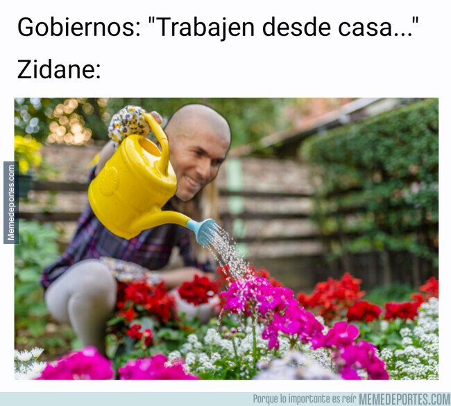 1101580 - Zidane sigue regando su flor desde casa