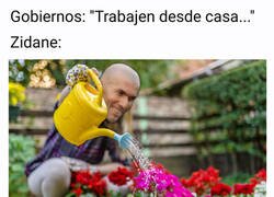 Enlace a Zidane sigue regando su flor desde casa