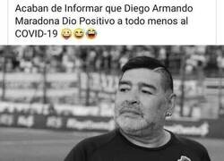 Enlace a Maradona positivo