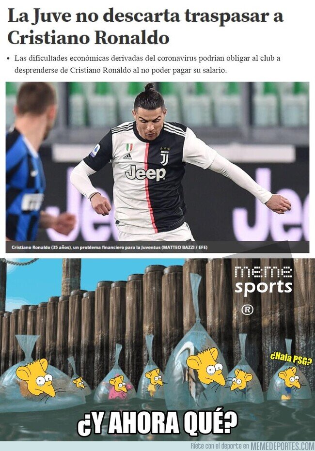 1101938 - Hala PSG