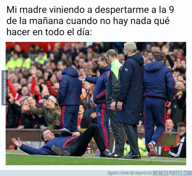 1101970 - ¿Pero para qué tan pronto?