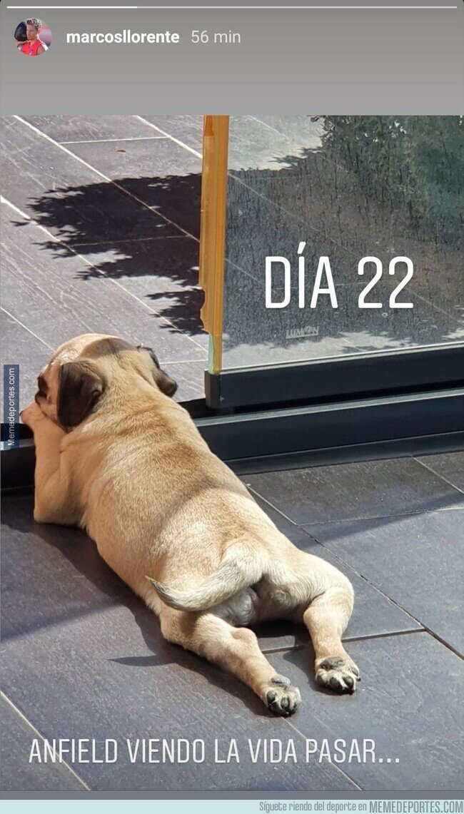 1102048 - Ojito a la historia de Llorente, eh.