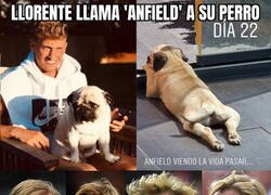 Enlace a Un nombre que no gustará a Klopp