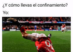 Enlace a Me voy a volver loco