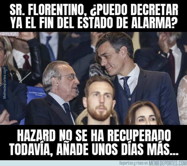 1102134 - El motivo por el que se prolonga el estado de alarma