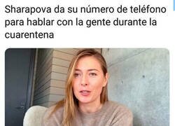 Enlace a Hablando con Sharapova...