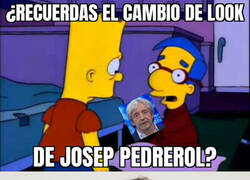 Enlace a ¿Pero qué son esos pelos, Manolo?