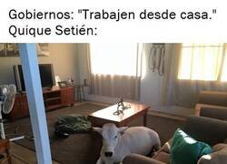 Enlace a ¿Cómo la estará pasando Setién?