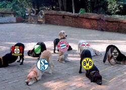 Enlace a Mientras tanto en la Bundesliga...