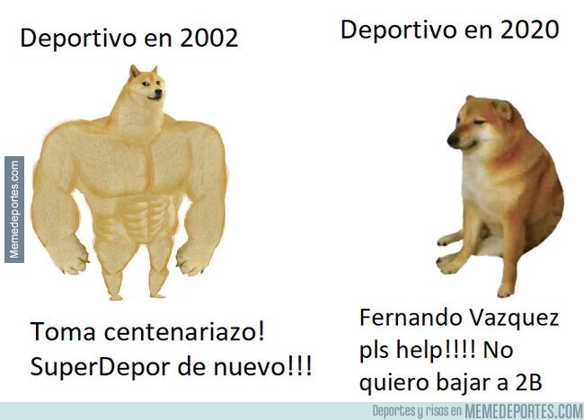 1105485 - Meme doge Deportivo