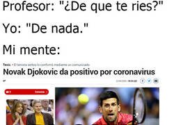 Enlace a Lo siento, tenía que hacerlo