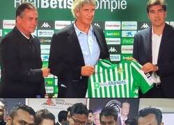 Enlace a Same energy.