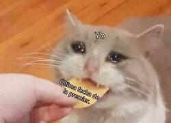 Enlace a Tardó, pero esta temporada empieza a concluir