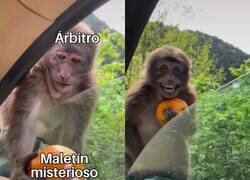 Enlace a La naranja podrida