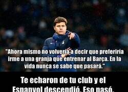 Enlace a Después de un tremendo golpe de Karma, Pochettino recoge cable