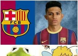 Enlace a La Tontunada del día...