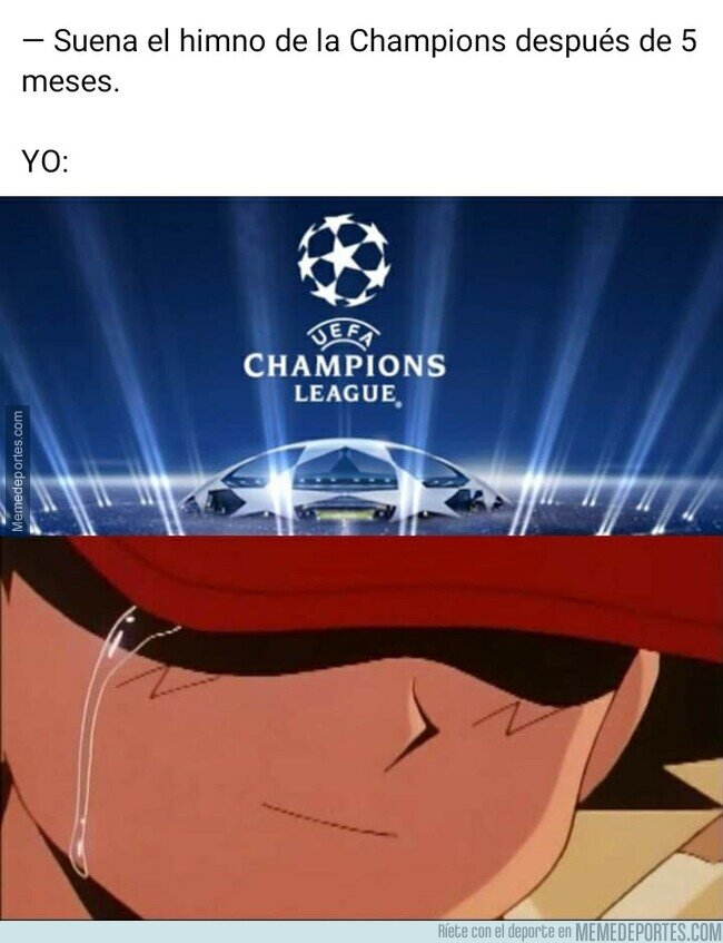 1111503 - Gracias por volver