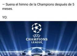 Enlace a Gracias por volver