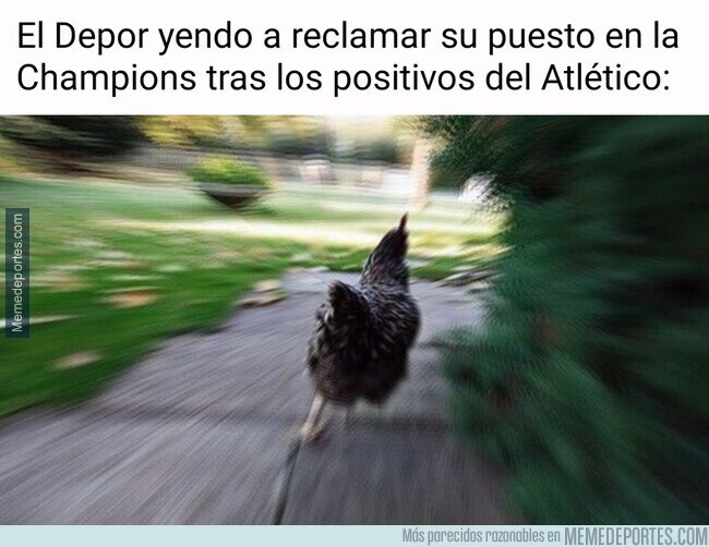 1111866 - Aprovechando oportunidades