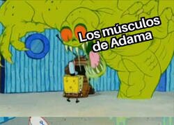 Enlace a El Sevilla no tuvo miedo