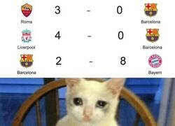 Enlace a Cada temporada el ridículo es mayor