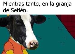 Enlace a Seguro que allá si lo quieren