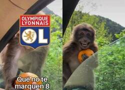 Enlace a Humilde el Bayern