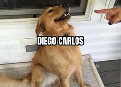 Enlace a Típico del buen Diego Carlos